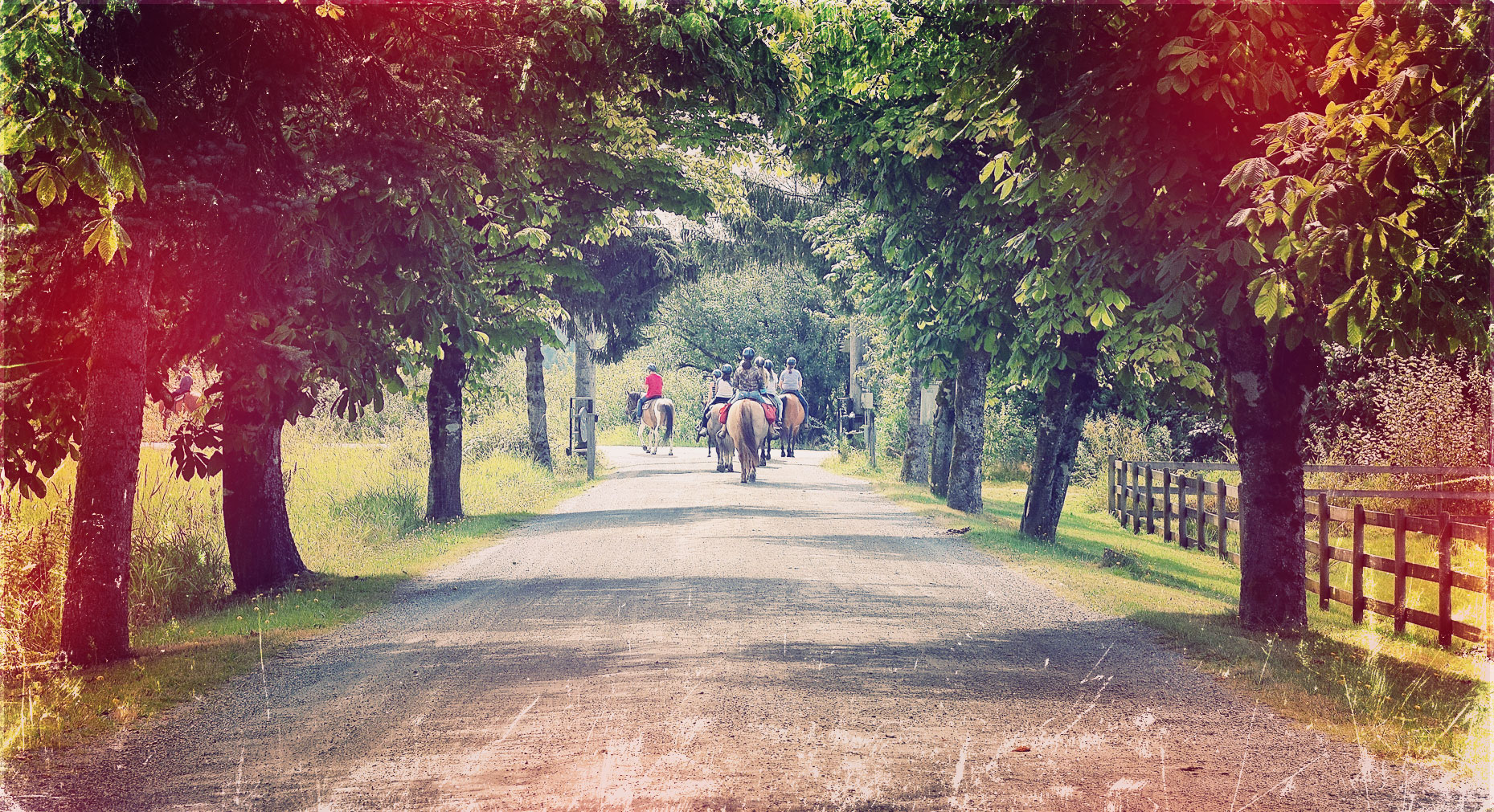 Follow the trail to adventure.