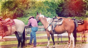 Saddle up and get your cowboy on.