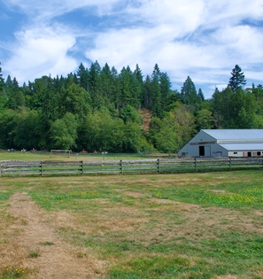 View of back field and barn at Timberline Ranch