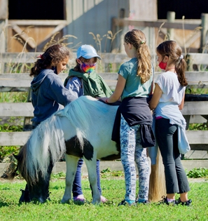 Day campers with miniature horse